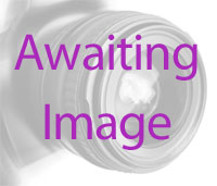 Bridlington Road Show